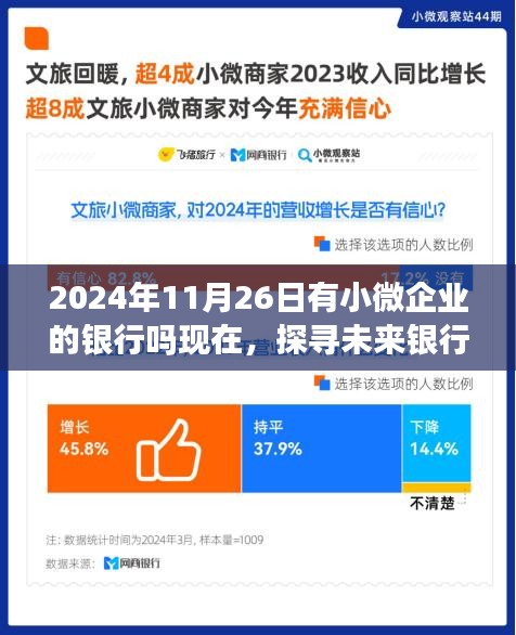 探寻未来银行格局，小微企业贷款的现状与展望（截至2024年11月26日）