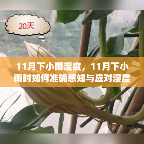 解决方案 第332页