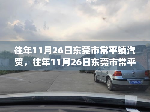乌鸟私情 第5页