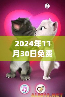 联系我们 第242页