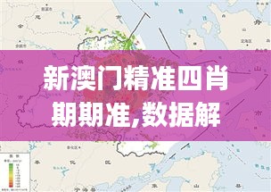 新澳门精准四肖期期准,数据解释说明规划_交互版RLV54.473