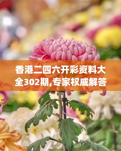 香港二四六开彩资料大全302期,专家权威解答_KMX91.662动态版