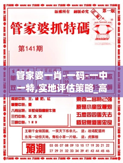 管家婆一肖-一码-一中一特,实地评估策略_高级版11.520-5