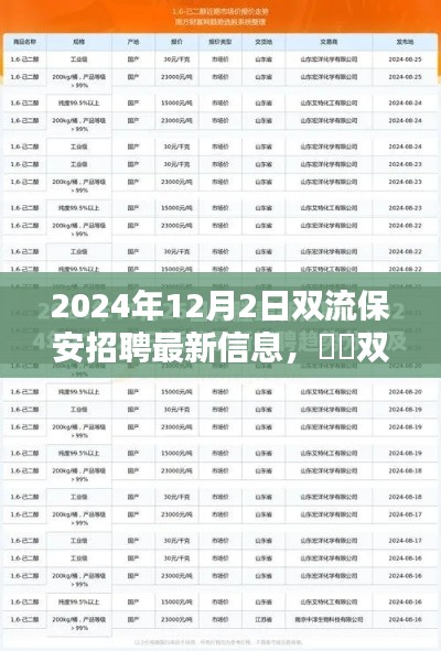 2024年双流保安招聘最新信息深度解析，体验、对比与前景展望