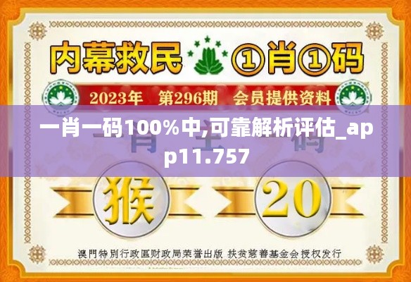 一肖一码100%中,可靠解析评估_app11.757