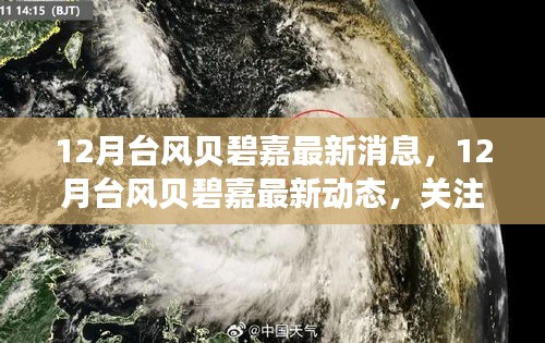 关注贝碧嘉台风最新动态，热带风暴的最新消息