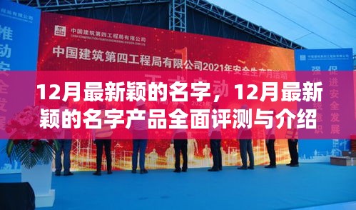 12月最新颖名字产品全面评测与介绍，引领潮流的命名新风尚