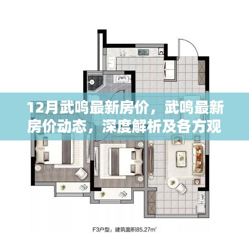 武鸣最新房价动态深度解析，12月房价走势与各方观点探讨
