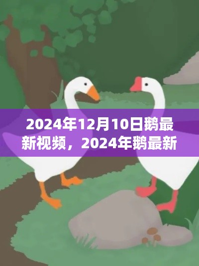 影响与展望