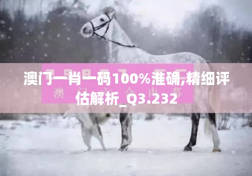 澳门一肖一码100%淮确,精细评估解析_Q3.232