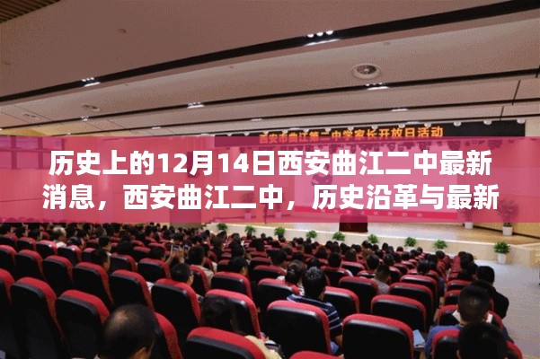 最新动态回顾