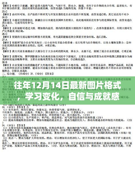往年12月14日最新图片格式启示录，学习变化与自信成就感的源泉探索之路