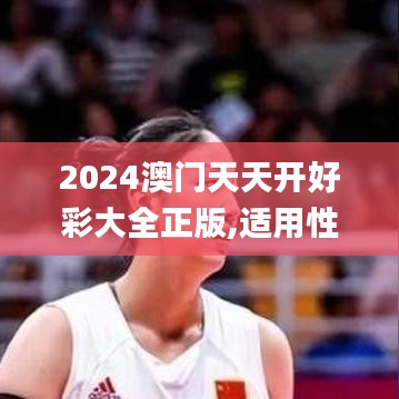 2024澳门天天开好彩大全正版,适用性执行设计_BT14.856
