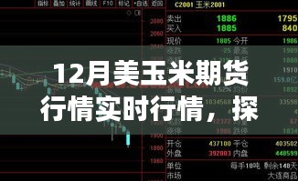 12月美玉米期货行情深度解析，小巷风情与美食邂逅
