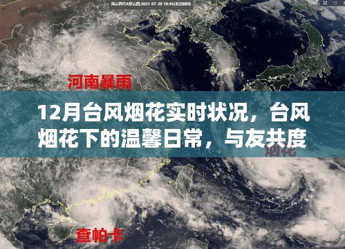 台风烟花下的温馨日常，与友共度的奇妙时光及实时状况追踪