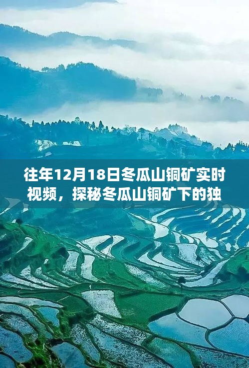 隐藏特色小店
