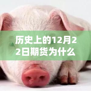解决方案 第177页