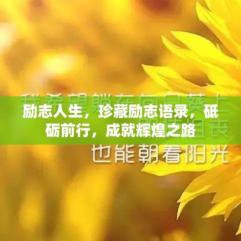 淡泊以明志，宁静以致远 第3页