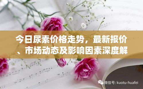 今日尿素价格走势，最新报价、市场动态及影响因素深度解析