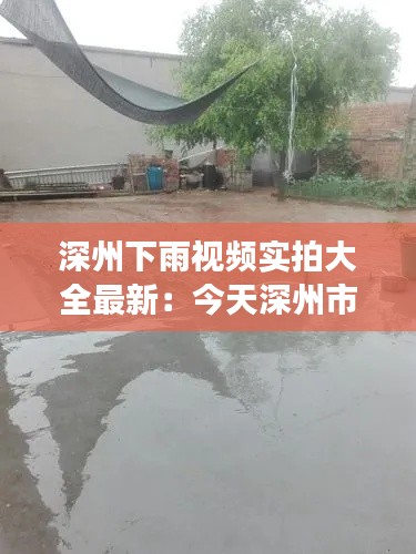 风韵犹存 第2页
