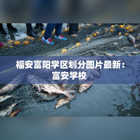 福安富阳学区划分图片最新：富安学校 