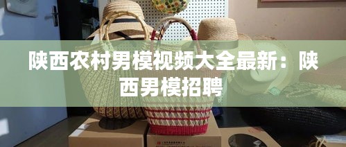 陕西农村男模视频大全最新：陕西男模招聘 