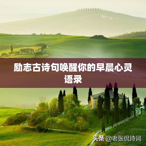 品质保障 第106页
