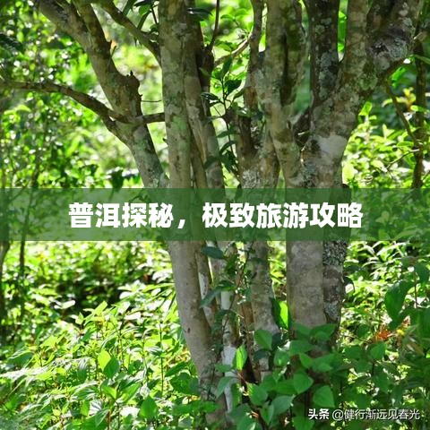 普洱探秘，极致旅游攻略
