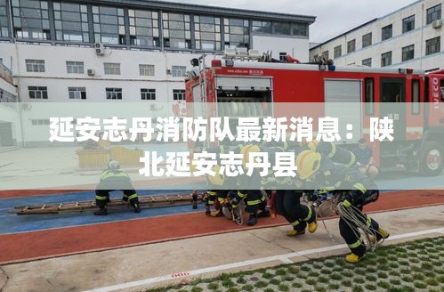 拾金不昧 第2页
