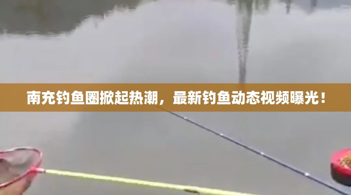 南充钓鱼圈掀起热潮，最新钓鱼动态视频曝光！