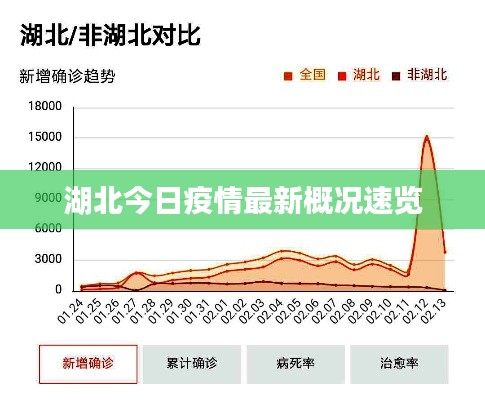 湖北今日疫情最新概况速览
