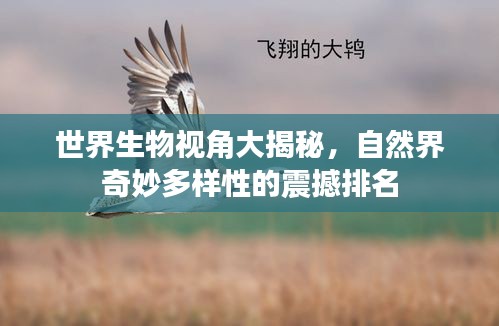 联系我们 第59页