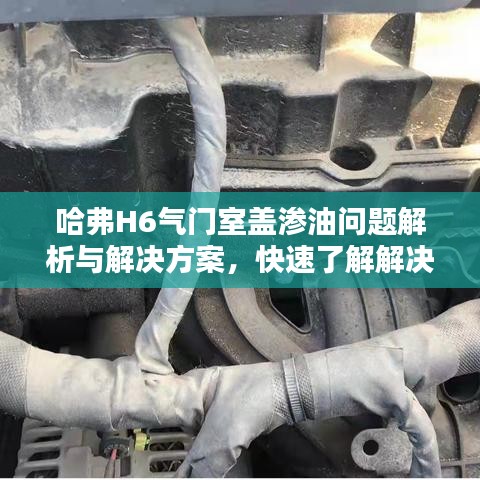 腾龙换鸟 第2页