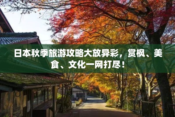 日本秋季旅游攻略大放异彩，赏枫、美食、文化一网打尽！