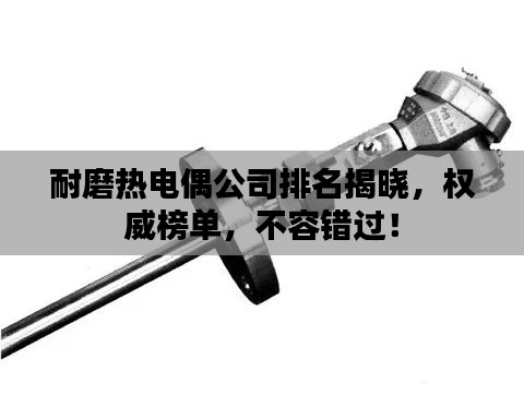 耐磨热电偶公司排名揭晓，权威榜单，不容错过！