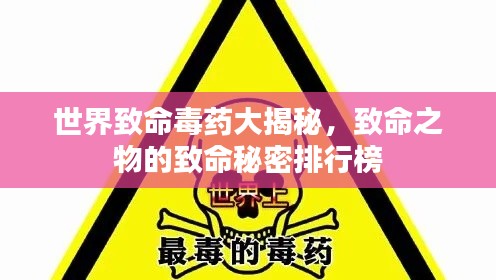 联系我们 第35页