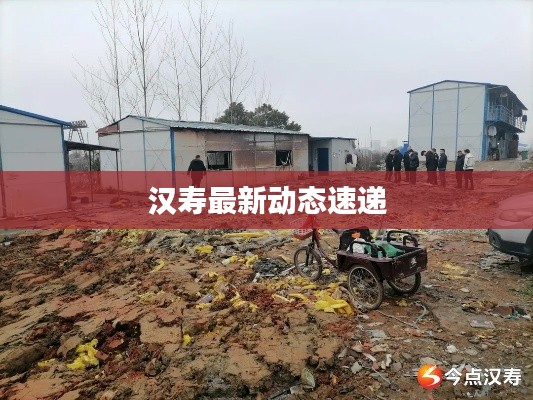 张三李四 第2页
