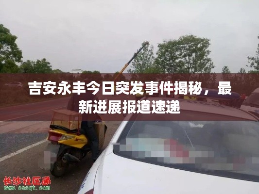 轻飞曼舞