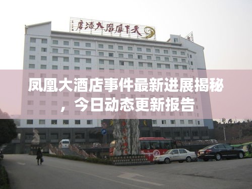 凤凰大酒店事件最新进展揭秘，今日动态更新报告