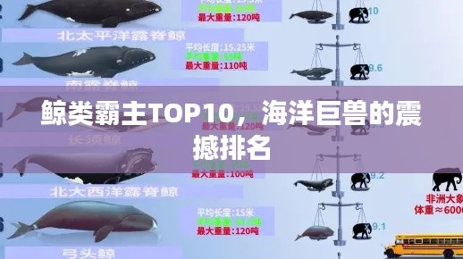 抱朴含真