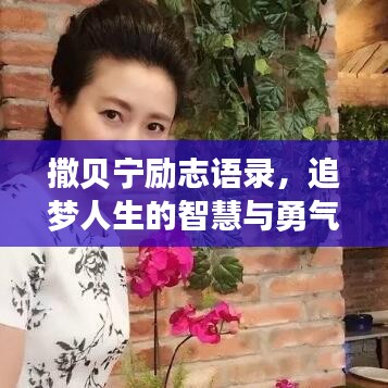 撒贝宁励志语录，追梦人生的智慧与勇气，激发无限潜能！