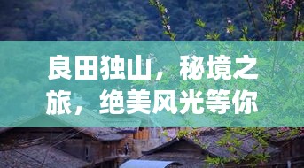 举止娴雅