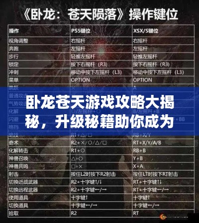 卧龙苍天游戏攻略大揭秘，升级秘籍助你成为顶尖强者！