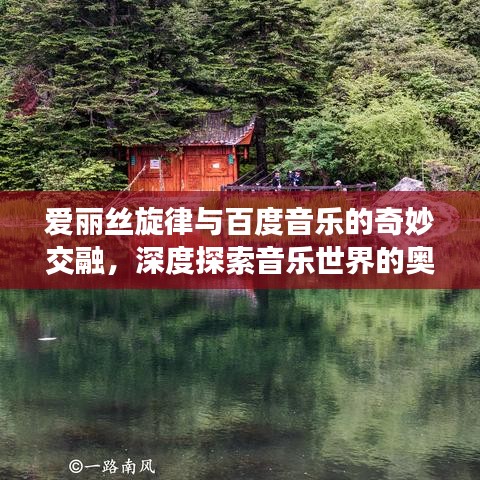 淡泊以明志，宁静以致远