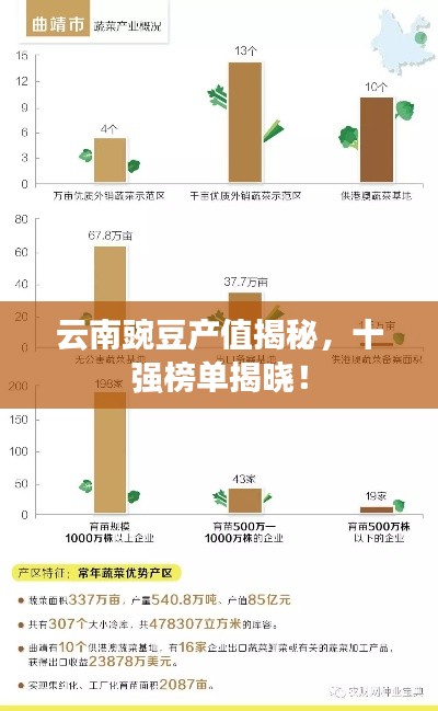 云南豌豆产值揭秘，十强榜单揭晓！
