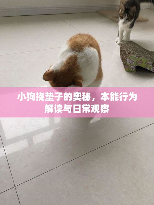 正声雅音