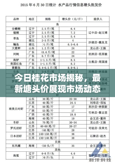 今日桂花市场揭秘，最新塘头价展现市场动态与价值