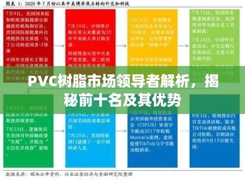 PVC树脂市场领导者解析，揭秘前十名及其优势