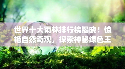 世界十大雨林排行榜揭晓！惊艳自然奇观，探索神秘绿色王国！
