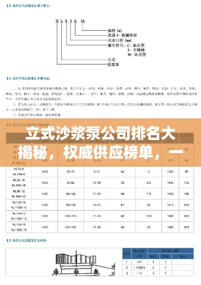 立式沙浆泵公司排名大揭秘，权威供应榜单，一网打尽！